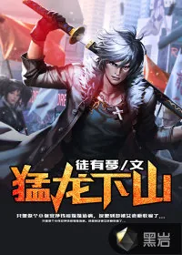 《猛龙下山》小说封面