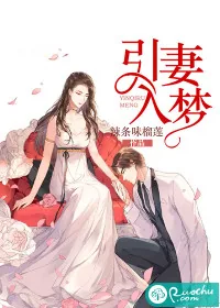《引妻入梦》小说封面