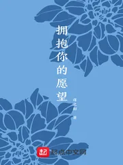 《拥抱你的愿望》小说封面
