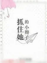 《抓住她的小辫子》小说封面