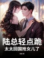 《陆总轻点跪,太太回国抢女儿了》小说封面