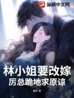 《林小姐要改嫁，厉总跪地求原谅》小说封面