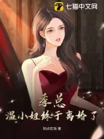 《季总，温小姐终于离婚了！》小说封面