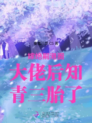 《嫁绝嗣港圈大佬后知青三胎了》小说封面
