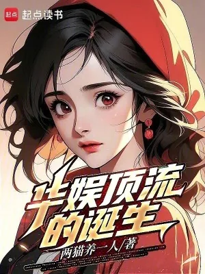 《华娱顶流的诞生》小说封面