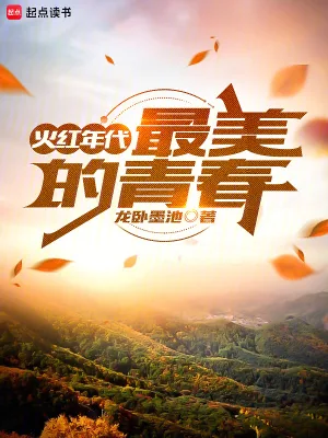 《火红年代：最美的青春》小说封面