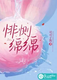《悱恻绵绵》小说封面