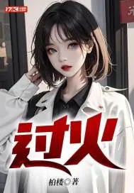 《过火》小说封面