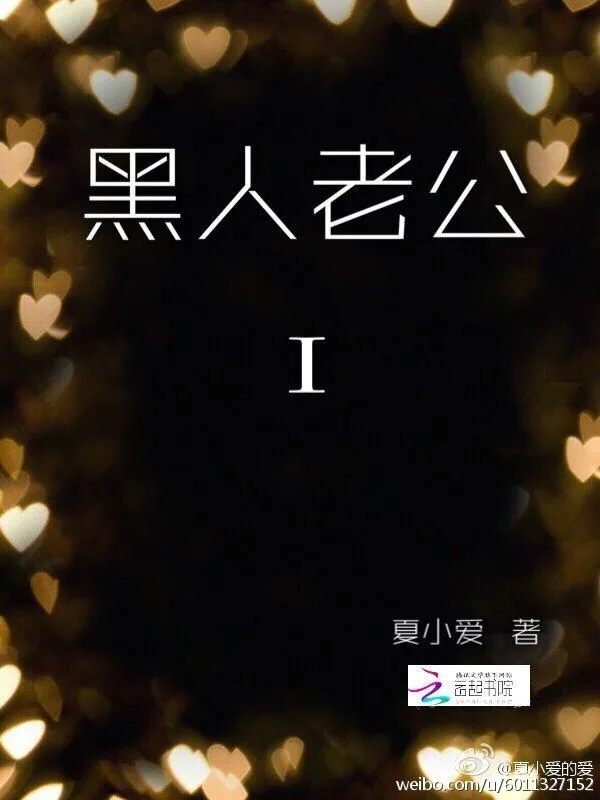 《黑人老公》小说封面