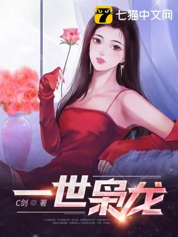 《一世枭龙》小说封面