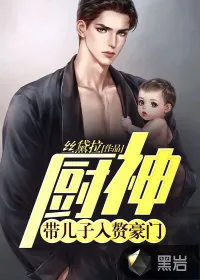 《厨神：带儿子入赘豪门！》小说封面