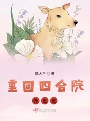 《重回四合院养崽崽》小说封面