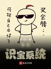 《我的识宝系统》小说封面