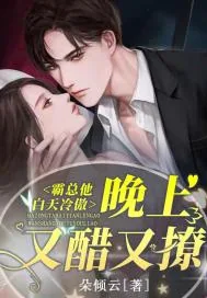 《霸总他白天冷傲,晚上又醋又撩》小说封面
