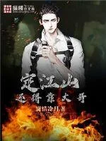 《定江山还得靠大哥》小说封面