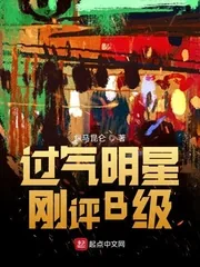 《过气明星刚评B级》小说封面