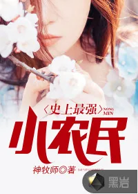 《史上最强小农民》小说封面