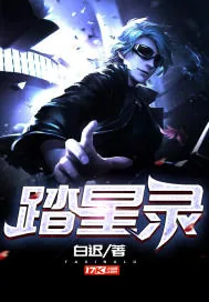 《踏星录》小说封面
