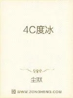 《4C度冰》小说封面