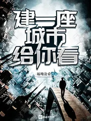 《建一座城市给你看》小说封面