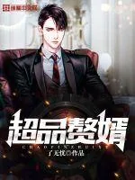 《超品赘婿》小说封面