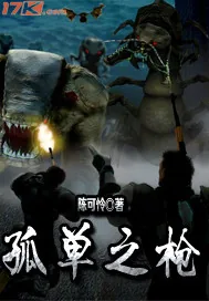 《孤单之枪》小说封面