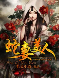 《赵默赵依仙》小说封面