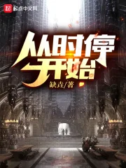 《从时停开始》小说封面