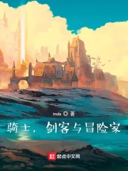 《骑士，剑客与冒险家》小说封面