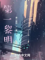 《第一黎明！》小说封面