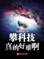《攀科技真的好难啊》小说封面