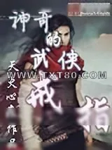 《神奇的武侠戒指》小说封面