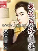 《超级网络连接》小说封面