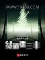 《贫道张三丰》小说封面