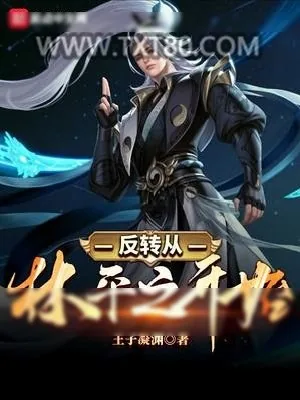《反转从林平之开始》小说封面