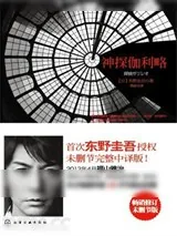 《神探伽利略》小说封面