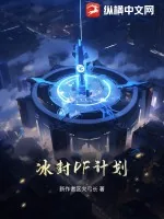 《冰封DF计划》小说封面