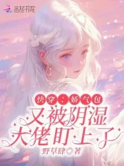 《快穿:娇气包又被阴湿大佬盯上了》小说封面