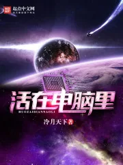 《活在电脑里》小说封面