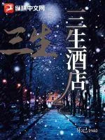 《三生酒店》小说封面