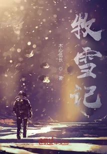 《牧雪记》小说封面