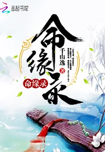 《命缘录》小说封面